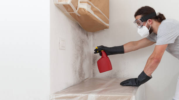 Professional Mold Inspection And Testing technician working in Bridgeport, NY